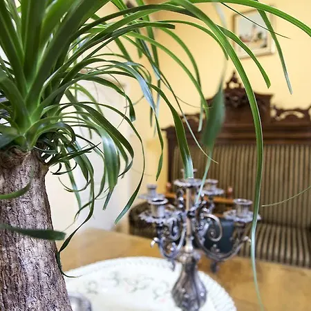Luna Apartment Нови Сад Екстериор снимка