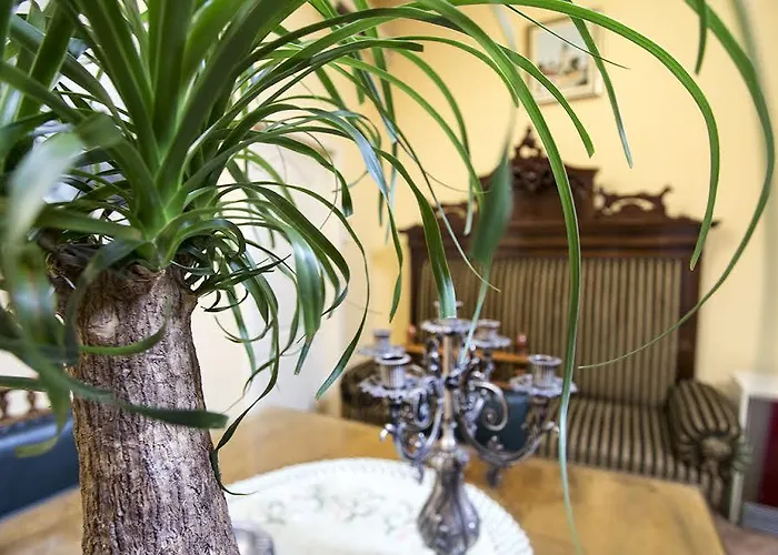 Luna Apartment